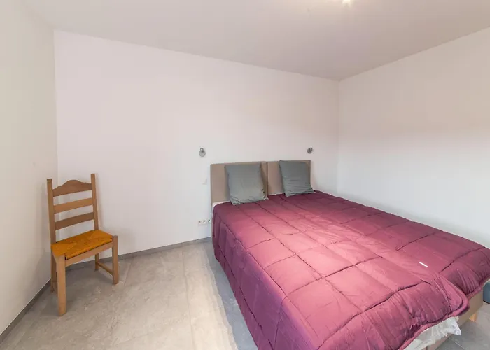 Modern In With Pool Forrieres